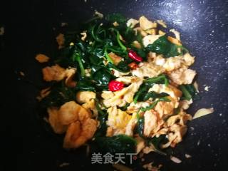 #团圆饭#菠菜炒鸡蛋的做法步骤：10