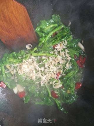 油菜苔炒虾皮的做法步骤：6