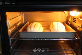 奶油哈斯面包的做法步骤：15