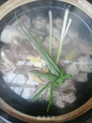 茶树菇排骨汤的做法步骤：3