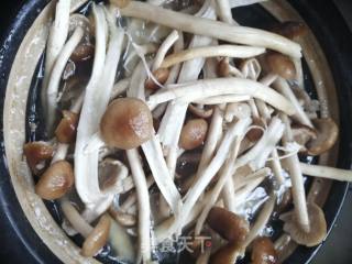 茶树菇排骨汤的做法步骤：5