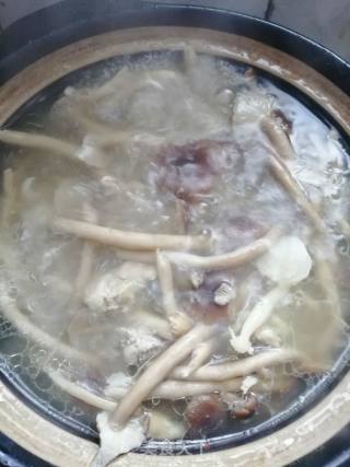 茶树菇排骨汤的做法步骤：6
