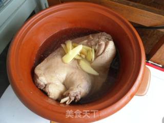 老鸭煲的做法步骤：8