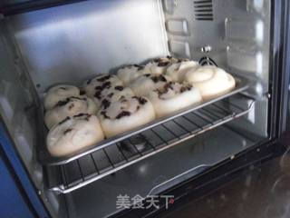 蜜枣面包卷的做法步骤：12