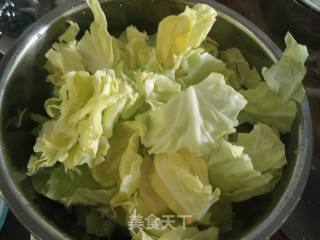素炒圆白菜的做法步骤：2