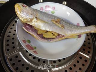清蒸黄瓜鱼的做法步骤：4