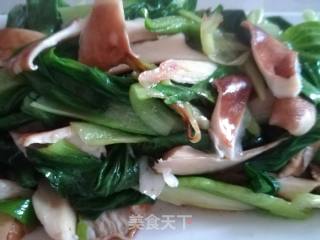 猪肚菇青菜的做法步骤：5