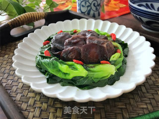 香菇扒青菜的做法步骤：8