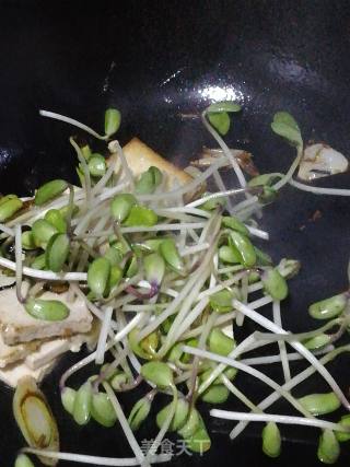 黑豆芽炒豆腐的做法步骤：6