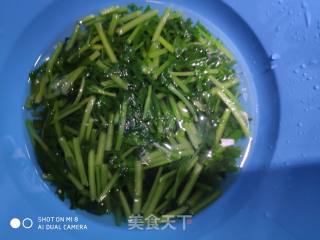 快手素菜  茼蒿鸡蛋的做法步骤：4