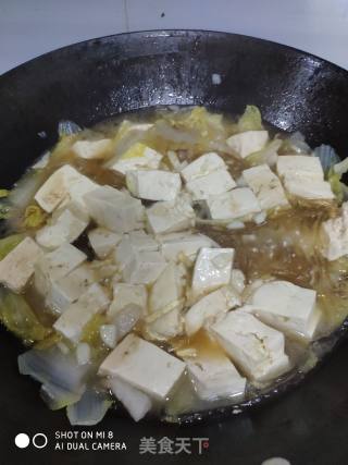 白菜炖豆腐的做法步骤：7