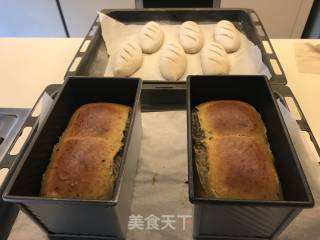 日式抹茶绿茶吐司的做法步骤：16