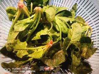 油泼菠菜的做法步骤：1