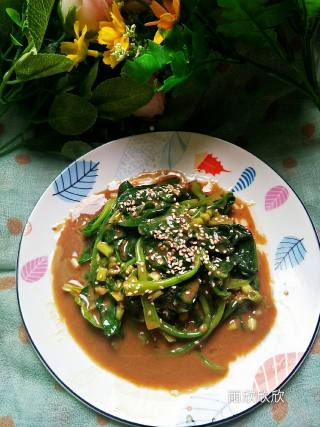 芝麻酱拌菠菜的做法步骤：6
