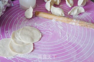 酸菜猪肉馅水饺的做法步骤：4