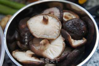 小鸡炖蘑菇的做法步骤：4