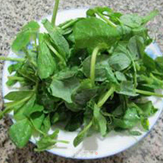 鲜蘑菇豆苗清汤的做法步骤：2