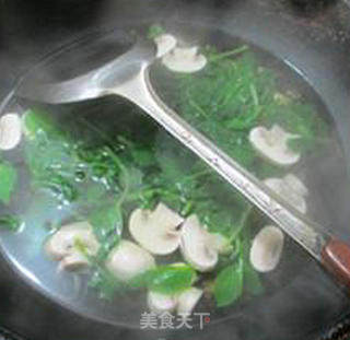 鲜蘑菇豆苗清汤的做法步骤：5