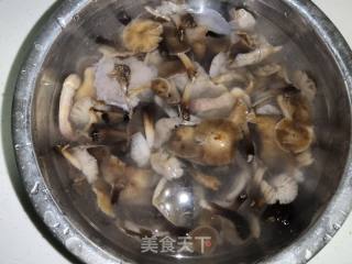 蚝油榛蘑小白菜的做法步骤：1