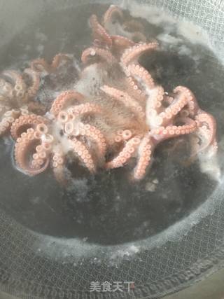 韭菜炒八爪鱼的做法步骤：5