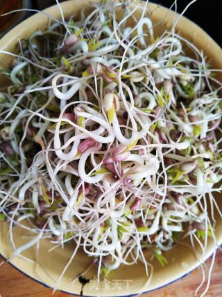 醋溜笨豆芽的做法步骤：2