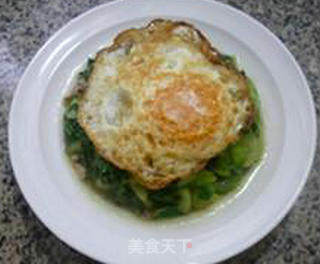 菜底煎鸡蛋的做法步骤：12