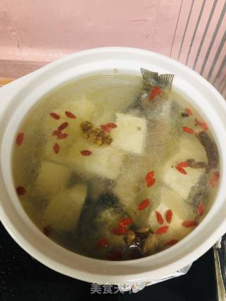 鲫鱼豆腐老汤的做法步骤：4