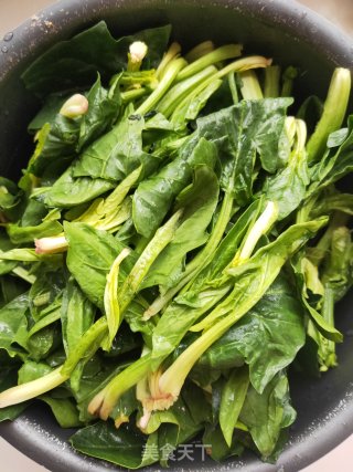 春天新吃法，不一样的味道-肉末菠菜的做法步骤：1