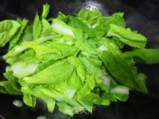 清炒白菜的做法步骤：5