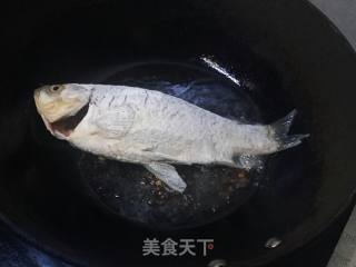 鲫鱼油菜汤的做法步骤：4