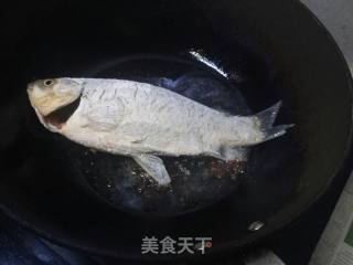 家熬鲫鱼的做法步骤：3