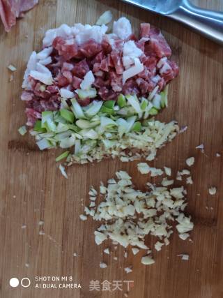 烤箱版肉末茄子的做法步骤：5
