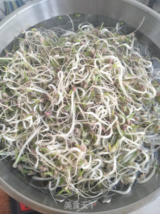 炝豆芽的做法步骤：1