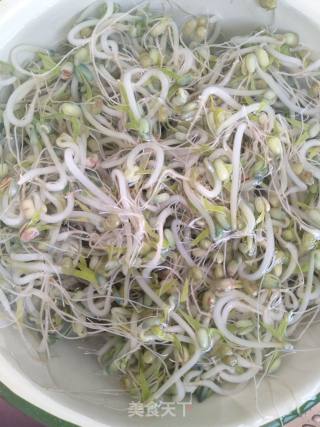 炝豆芽的做法步骤：2