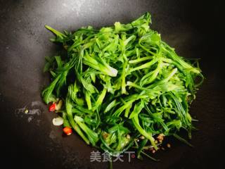蒜蓉面条菜的做法步骤：5