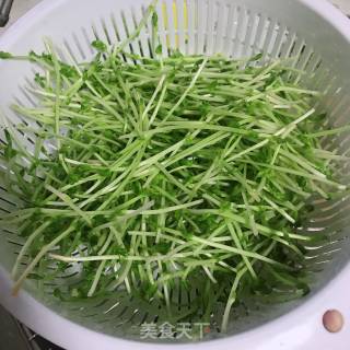 清炒豌豆苗的做法步骤：2