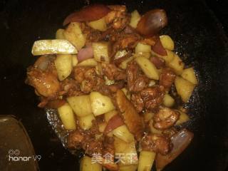 鸡肉洋葱炖土豆的做法步骤：7
