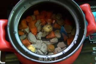 无花果胡萝卜瘦肉汤的做法步骤：5