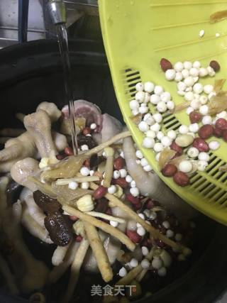 美容靓汤（花胶煲鸡爪）的做法步骤：11