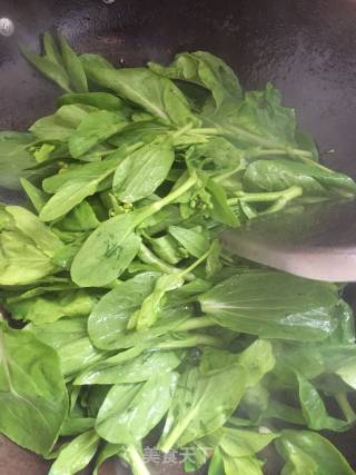 蒜蓉菜苔的做法步骤：4