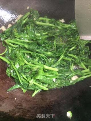 蒜蓉菜苔的做法步骤：5
