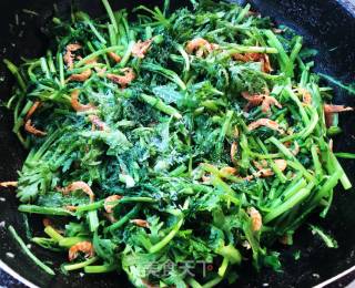 蒜蓉茼蒿炒磷虾的做法步骤：7
