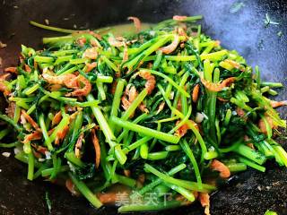 蒜蓉茼蒿炒磷虾的做法步骤：8
