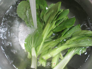 虾味球菜芯宽粉的做法步骤：2