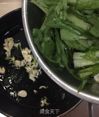 清炒甜麦菜的做法步骤：5