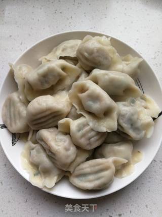 羊肉大葱饺子的做法步骤：4