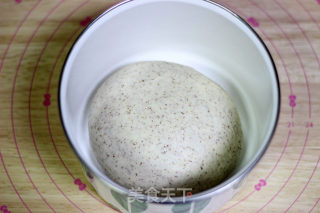 全麦奶油面包----冷藏发酵法，零黄油，春天里的小清新的做法步骤：4