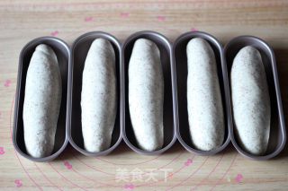全麦奶油面包----冷藏发酵法，零黄油，春天里的小清新的做法步骤：10