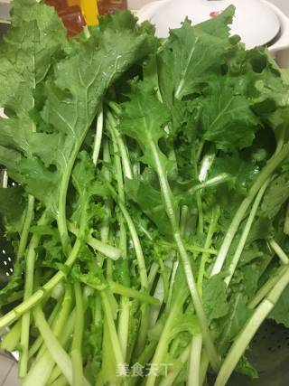 时令蔬菜  苔菜烫面蒸饺的做法步骤：1
