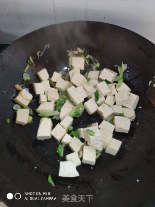 裙带菜炖豆腐的做法步骤：5